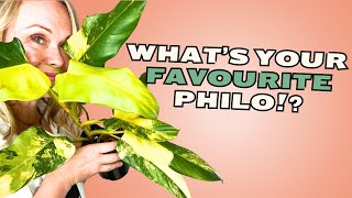 Plant Tour! My TOP 10 Favourite PHILODENDRON Plants! 🪴🏆