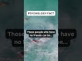 Those People Who Have No Friends Can Be Shortes Psychologyfacts Subscribe