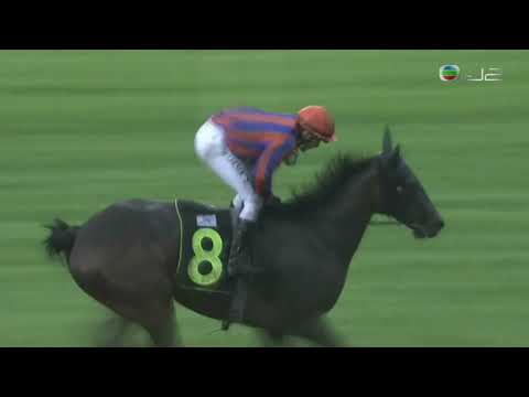 2020 Better Live 2012 Stakes Kranji Stakes B - Sky Rocket (飛天火箭) - M.Lerner (45倍)