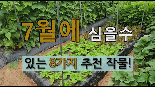 7월에 심을 수 있는 8가지 추천 작물! #7월에 심는 작물 #7월 텃밭 잘 가꾸는 방법