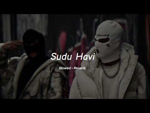Sudu Havi (පැරදුනාද ජීවිතේ ) || Slowed - Reverb || Nawa DX