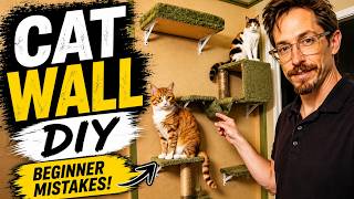 DIY Cat Wall (Beginner Mistakes)