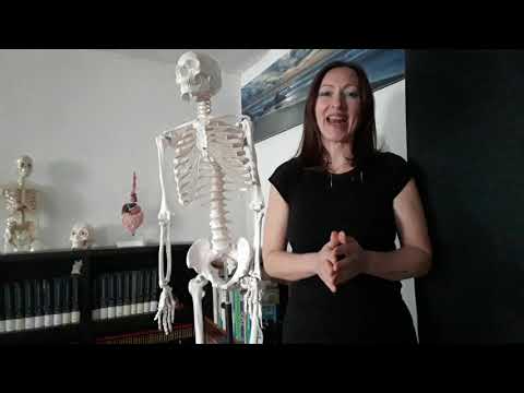 Anatomia. Concetti e Termini di Base. Parte I