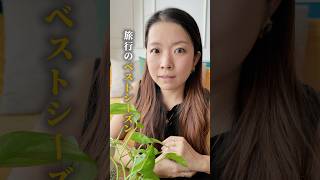 ホーチミン旅行のベストシーズン✈️実は変わってきています🤫