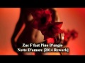 Zac F feat Pino D'angio Notte D'amore [2014 ...