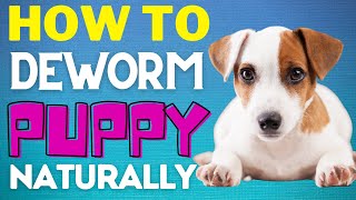 How To Deworm a Puppy Naturally – Best Home Remedies Hacks | Smart Dog Mom