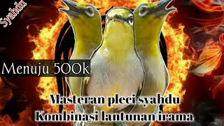 Download lagu Masteran pleci trend syahdu mp3 Download lagu Masteran pleci trend syahdu mp3