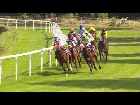 Galopprennbahn Dresden - 25.08.2019 - Rennen 1