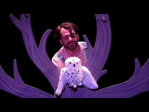 Voir la bande-annonce