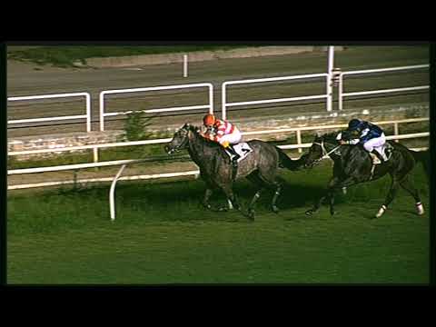 Galoppo 29/08/2020 - 5ª corsa