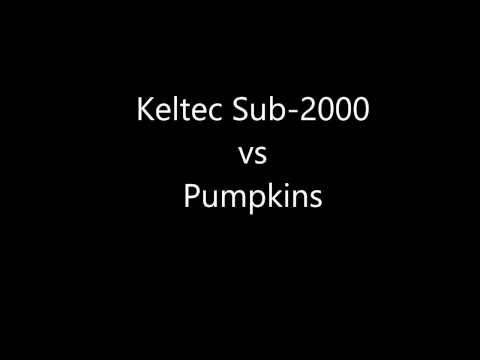 KelTec Sub-2000 9mm vs Pumpkins