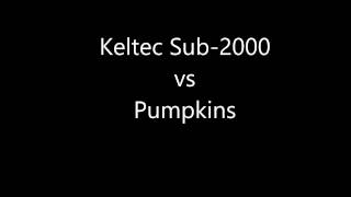 KelTec Sub-2000 9mm vs Pumpkins