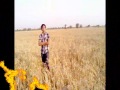 DIL TO HAI FUKRAA RUSH MOVIE KASHIF SONG 2012