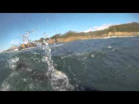 Scuba Diver runs out of air!!