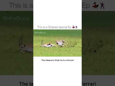 Ghazaal Sunshine episode 11