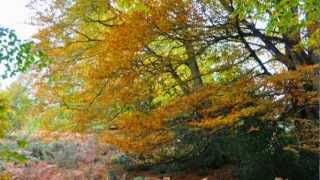 Van Morrison &amp; Tom Jones-"Sometimes we cry"-Photo :Antton Longaron (Aralar in the Basque Country)