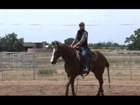 Ken Wold Working the flag to train your cowhorse