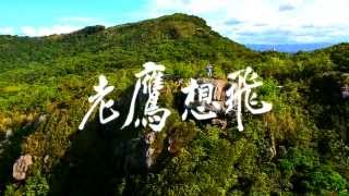 [閒聊] 在市區看到老鷹很正常嗎？