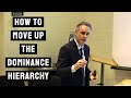 How to Move up the Dominance Hierarchy | Jordan Peterson