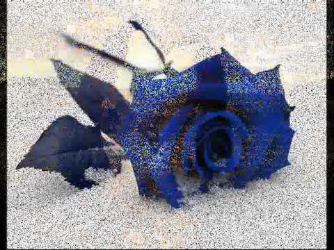 Betimm ( YELLERS ) - E Vetmja