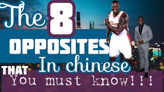 The 8 Chinese Opposites You Must Know | Chinese Rap Sing-Along Song | For All Ages｜By MOTB