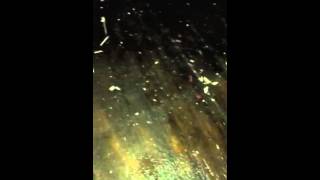 Beginning Avion Renovation