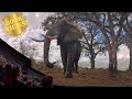 4K 3 BILLION Las Vegas MSG Sphere Immersive Experience Postcard From Earth By Darren Aronofsky