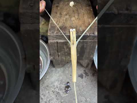 Intangible Cultural Heritage: Making Gut Strings