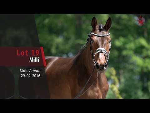 19 Milli Stute v. Millenium/T. -  L‘ Espoir