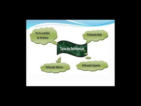 Polinomios