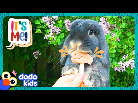 Speedy Rabbit Zooms, Booms, And SOARS! | Dodo Kids | It’s Me!