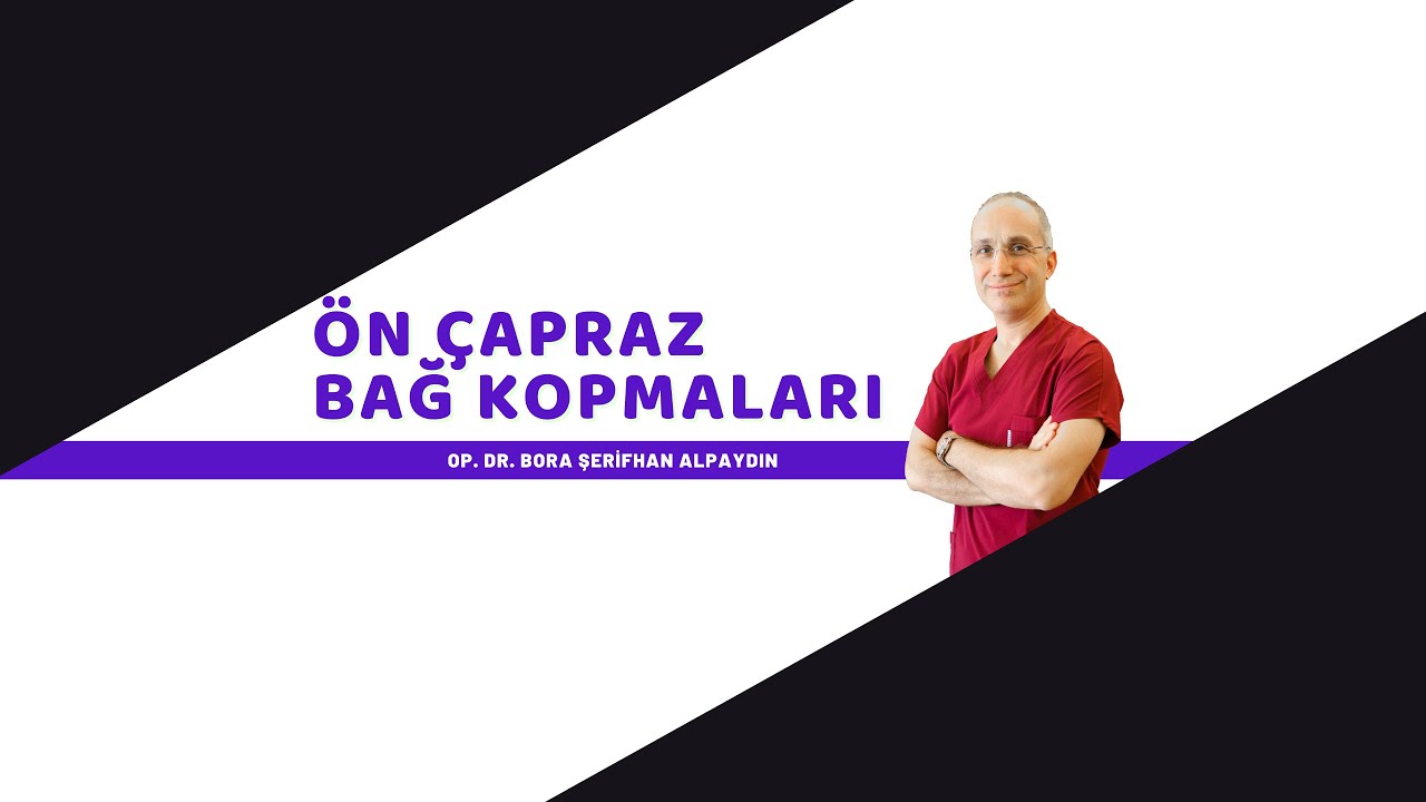 Bora Şerifhan Alpaydın-7
