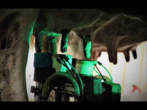 miRobot - Unique Cleaning & Preparation Process (Fully Automating The Traditional Milking Process)