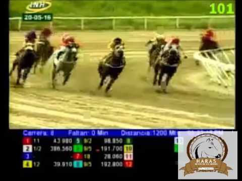 LA RINCONADA 8 CARRERA, VIERNES 20 DE AMYO DEL 2016