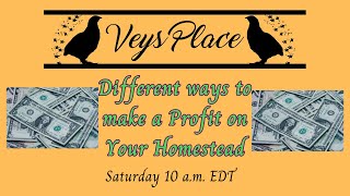 Different Ways to make a Profit on Your Homestead