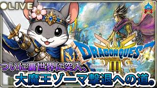 【ドラクエ40周年】　＃14  完全初見！ついに最終回？、大魔王ゾーマに備え色々準備する！
