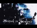 F I E L Drei Wie Brüder Lunikoff Cover