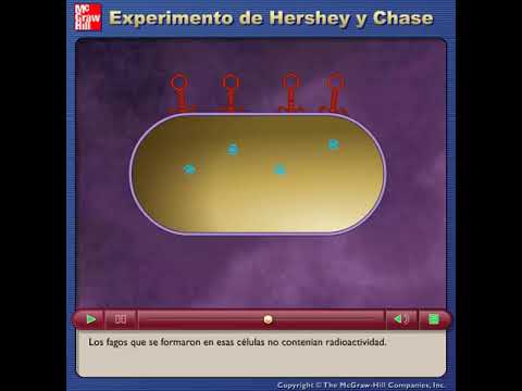 Experimento de Hershey y Chase