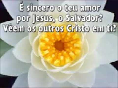 304   Veem os outros Cristo em ti