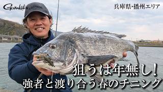 狙うは年無し！強者と渡り合う春のチニング【G WORLD #65】