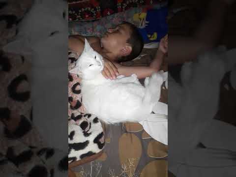 Mushkchamiz bolajon Saidshox😂😊