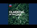 Shostakovich: Symphony No. 10 in E minor, Op. 93: 2. Allegro