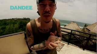 Download lagu Dandee's BEHIND THE SCENES of Project EAR's Bali Recording Sessions mp3 Download lagu Dandee's BEHIND THE SCENES of Project EAR's Bali Recording Sessions mp3
