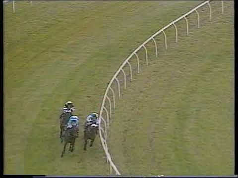 1997 Peter Marsh Chase   Jodami Includes Replay