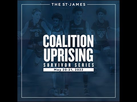 DC Premier 15U vs Team Against All Odds 16U Game- 2022 The St James Spring Survivor Series