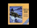 Phil Thornton & Steven Cragg - Rivers of Ice