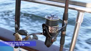 preview picture of video 'Fort Lauderdale Deep Sea Fishing - Flamingo Drift Fishing Trips Charters in Fort Lauderdale'