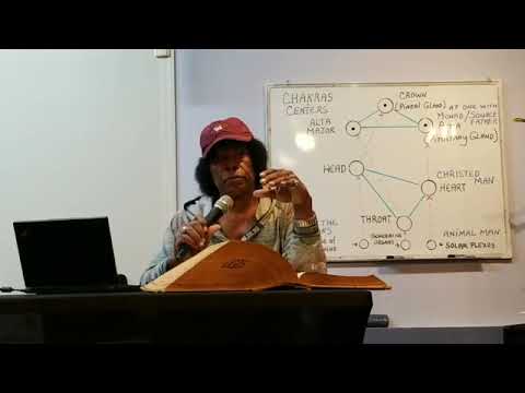 Grand Sheik Taj Tarik Bey- The Constitution of Man