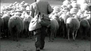 José Afonso - &quot;Pastor de Bensafrim&quot; do primeiro LP &quot;Baladas e Cancões&quot;com ed.(1964/67 e 1997) 9/12