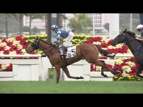 13/12/2020 (263) Lucky Patch- M F Poon